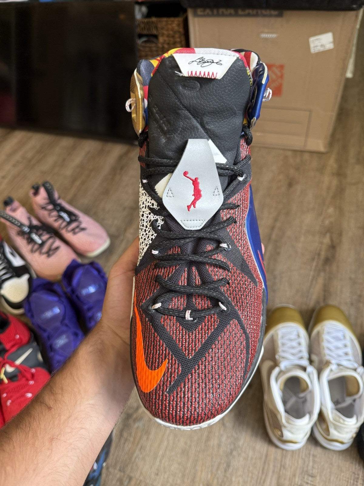 Size 14 - Nike LeBron 12 SE What The LeBron