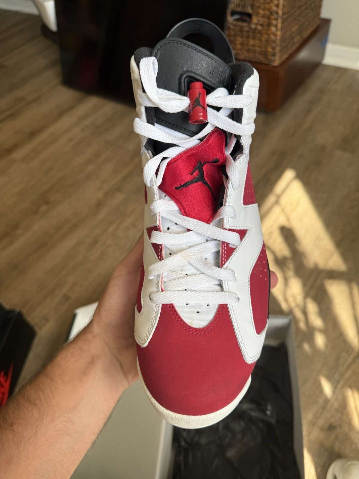 Size 10 - Jordan 6 Retro Carmine (2014)