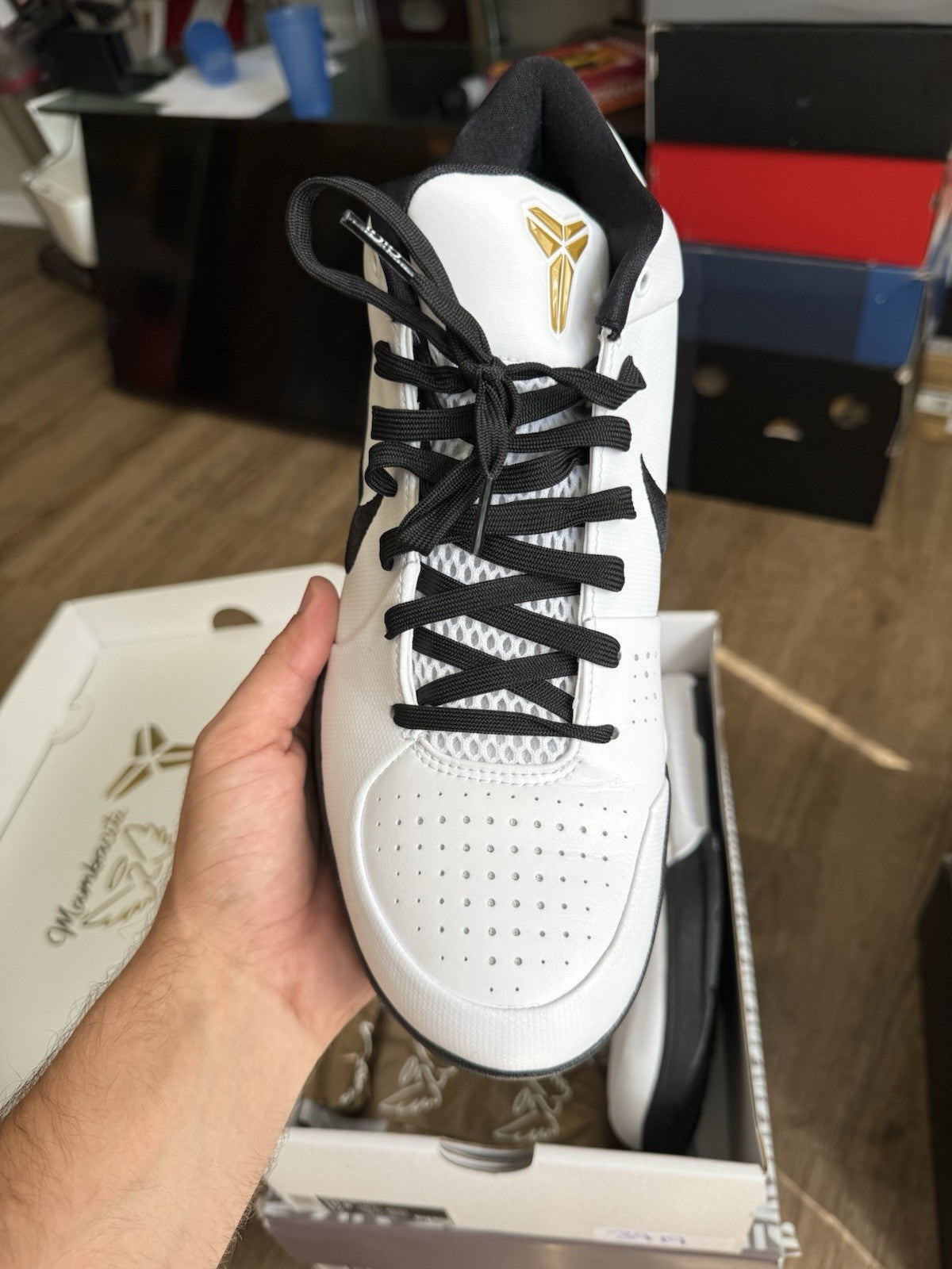 Size 10.5 - Kobe 4 Protro Mambacita Gigi