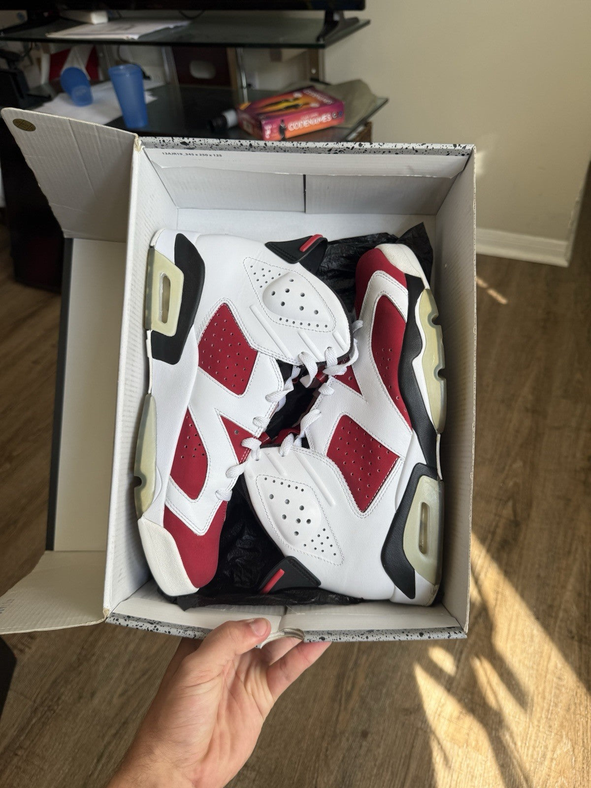 Size 10 - Jordan 6 Retro Carmine (2014)