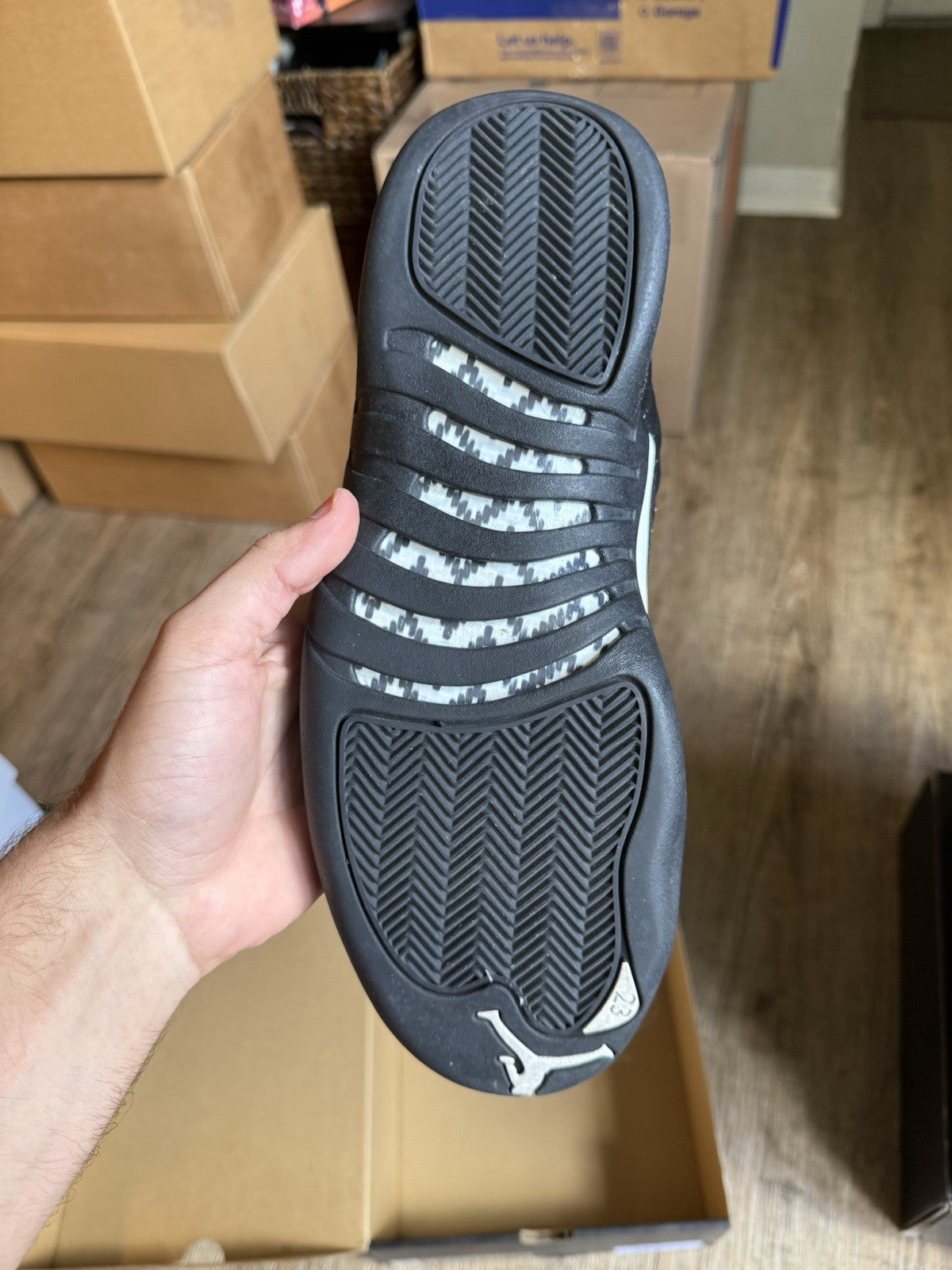 Size 10 - Jordan 12 Retro The Master