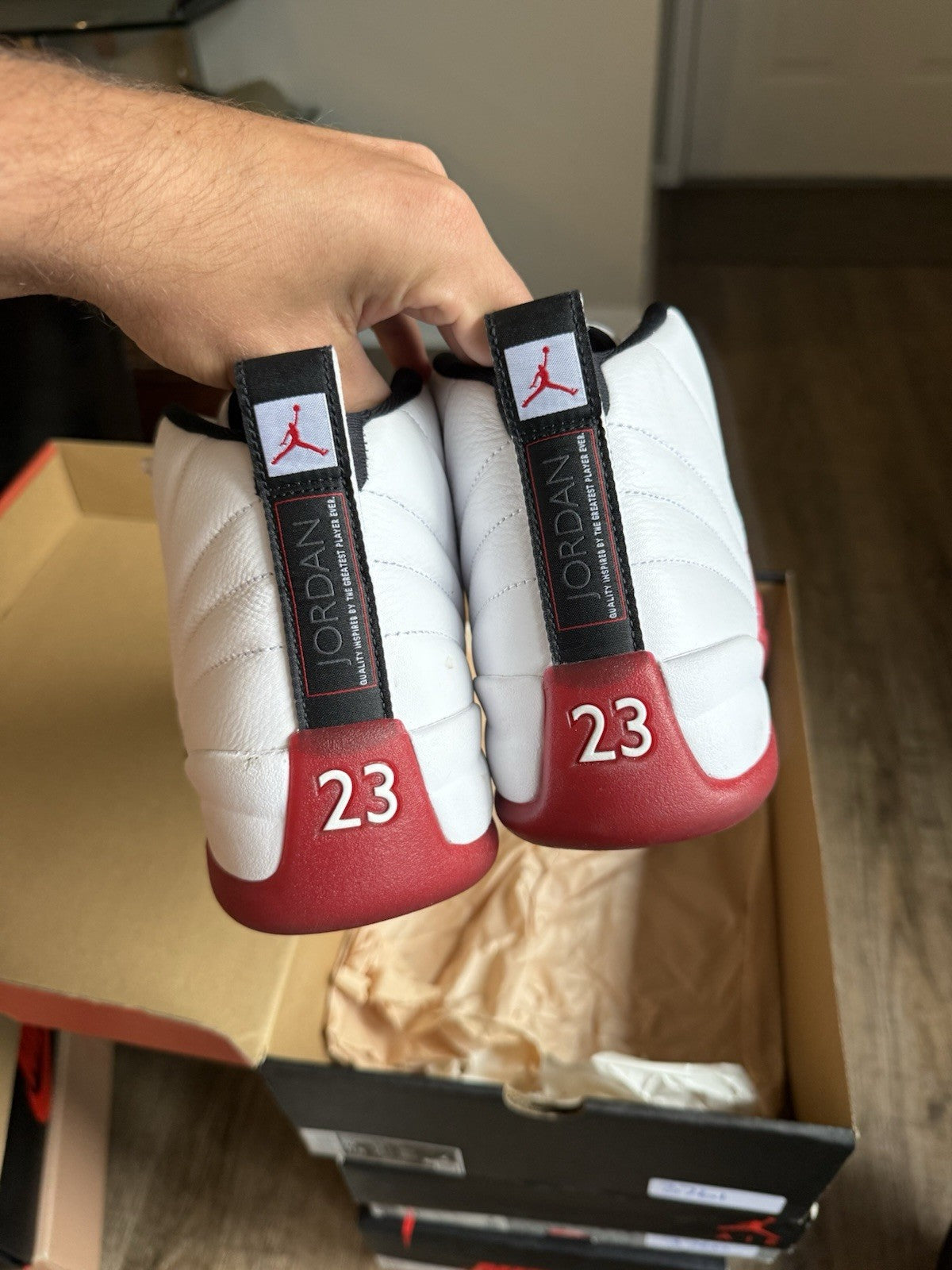 Size 10 - Jordan 12 Retro Cherry (2023)