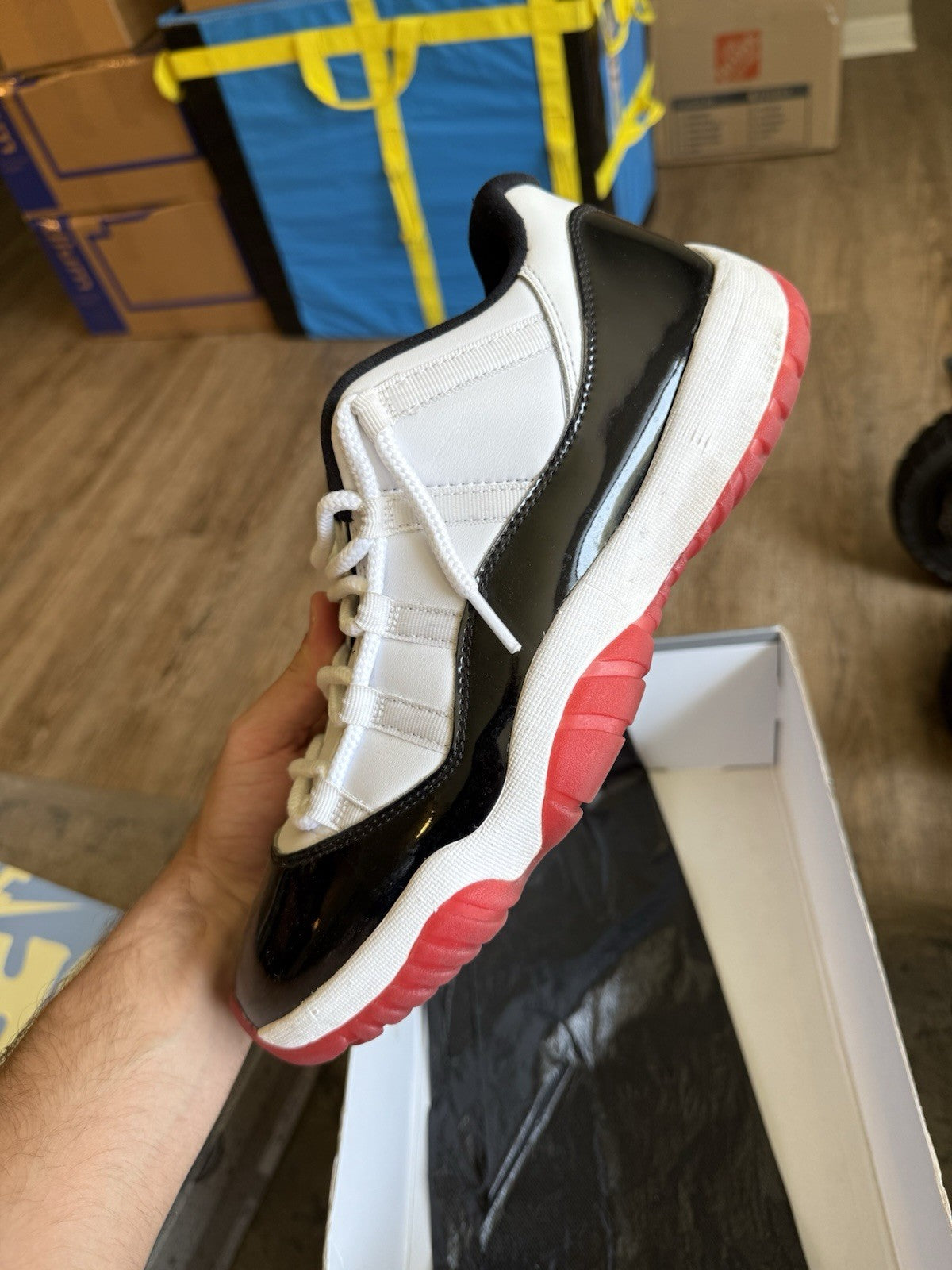 Size 10.5 - Jordan 11 Retro Low Concord-Bred