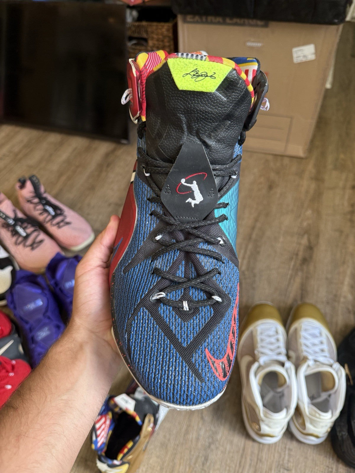 Size 14 - Nike LeBron 12 SE What The LeBron