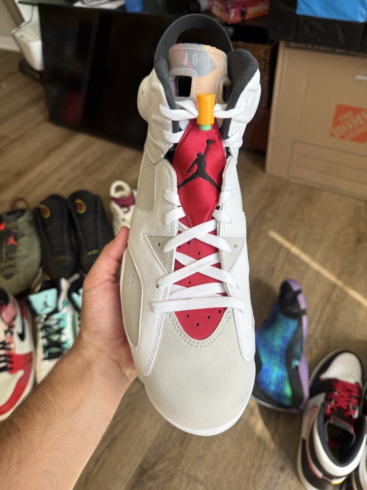 Size 14 - Jordan 6 Retro Hare (Brand New No Box)