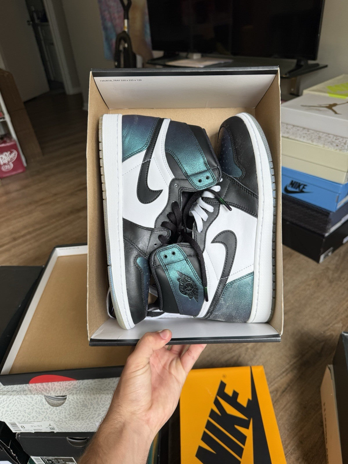 Size 10.5 - Air Jordan 1 Retro OG High All Star - Chameleon