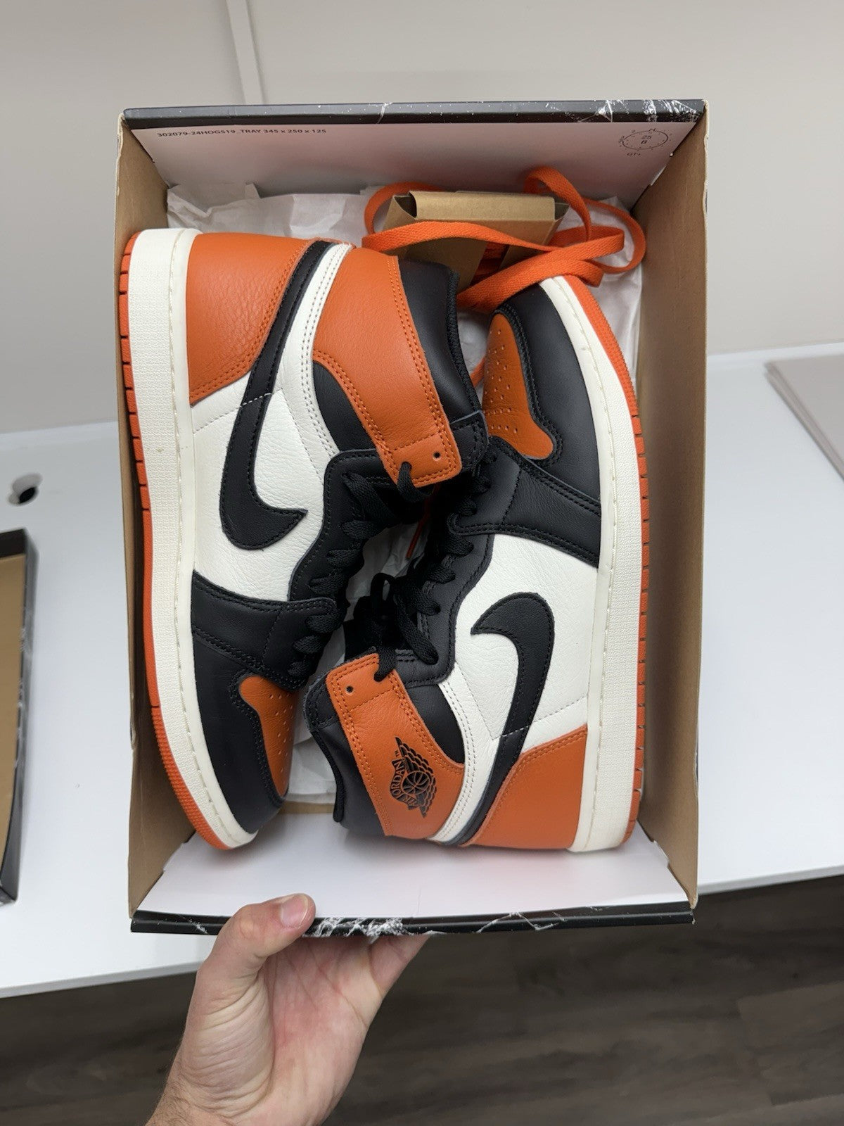 Size 11 - Jordan 1 Retro OG High Shattered Backboard (2025)