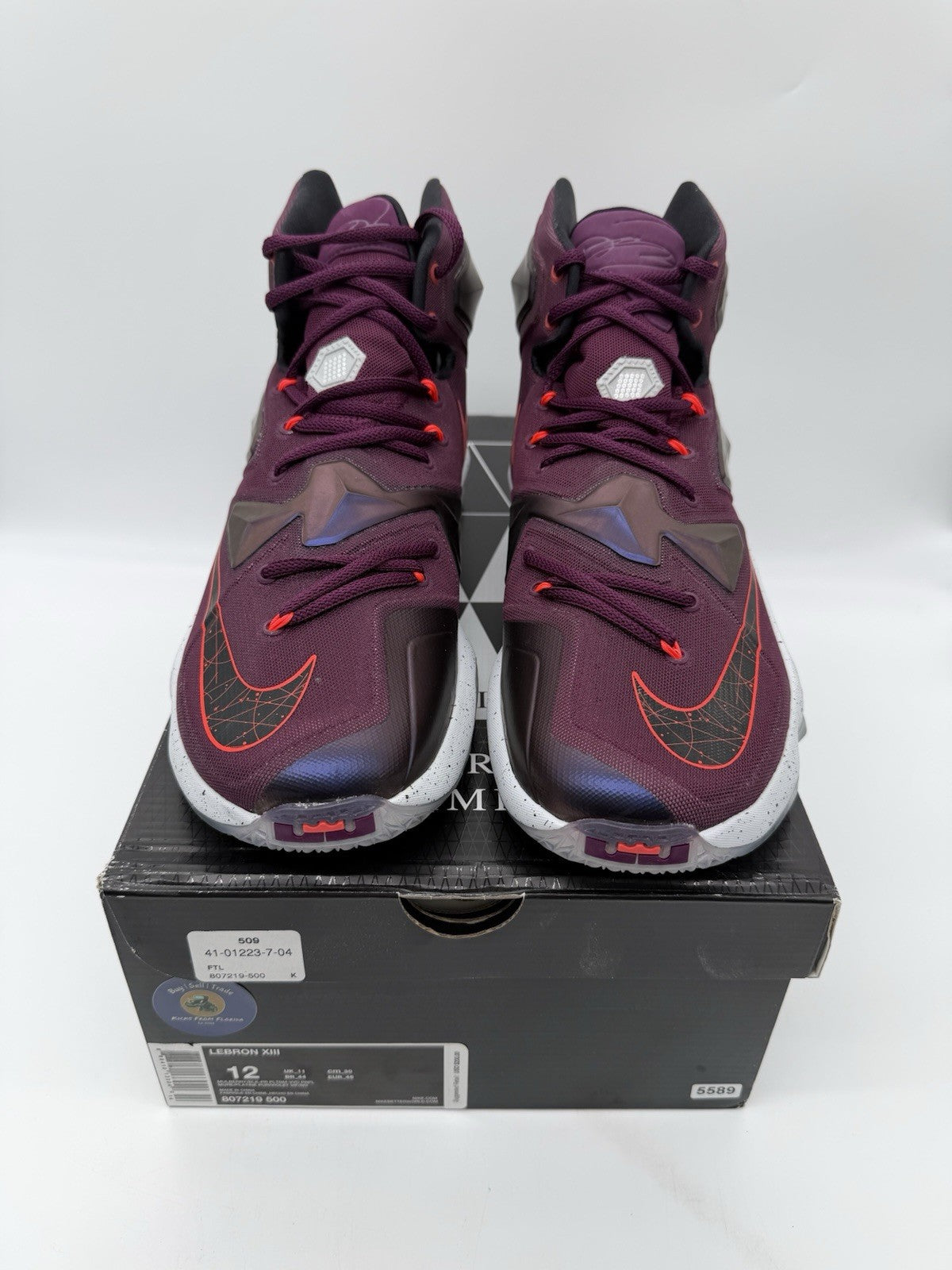 Size 12 - Nike LeBron 13 Written in the Stars (Brand New)
