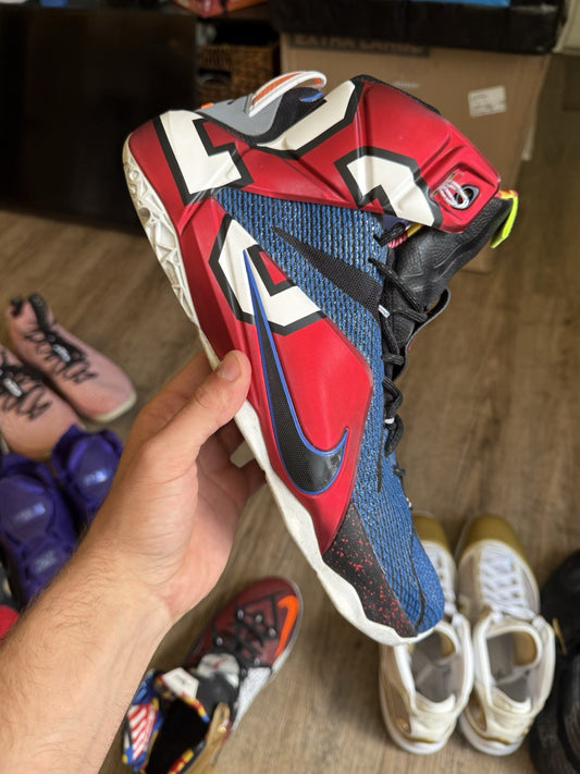 Size 14 - Nike LeBron 12 SE What The LeBron