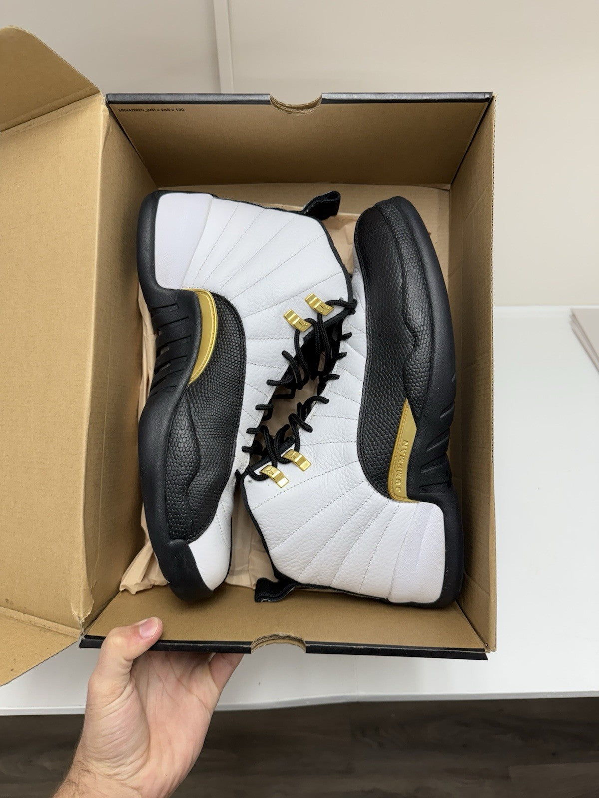 Size 12 - Jordan 12 Retro Royalty Taxi