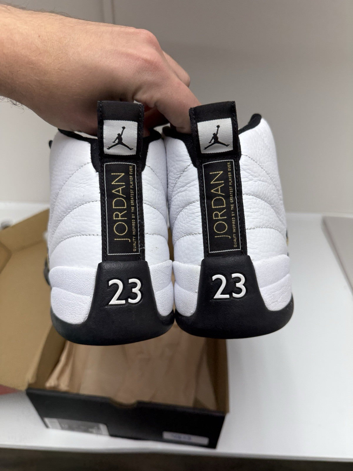 Size 12 - Jordan 12 Retro Royalty Taxi