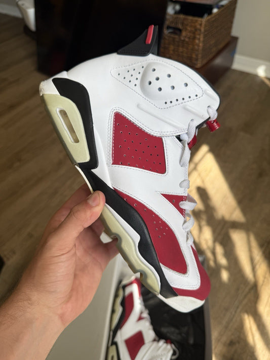 Size 10 - Jordan 6 Retro Carmine (2014)
