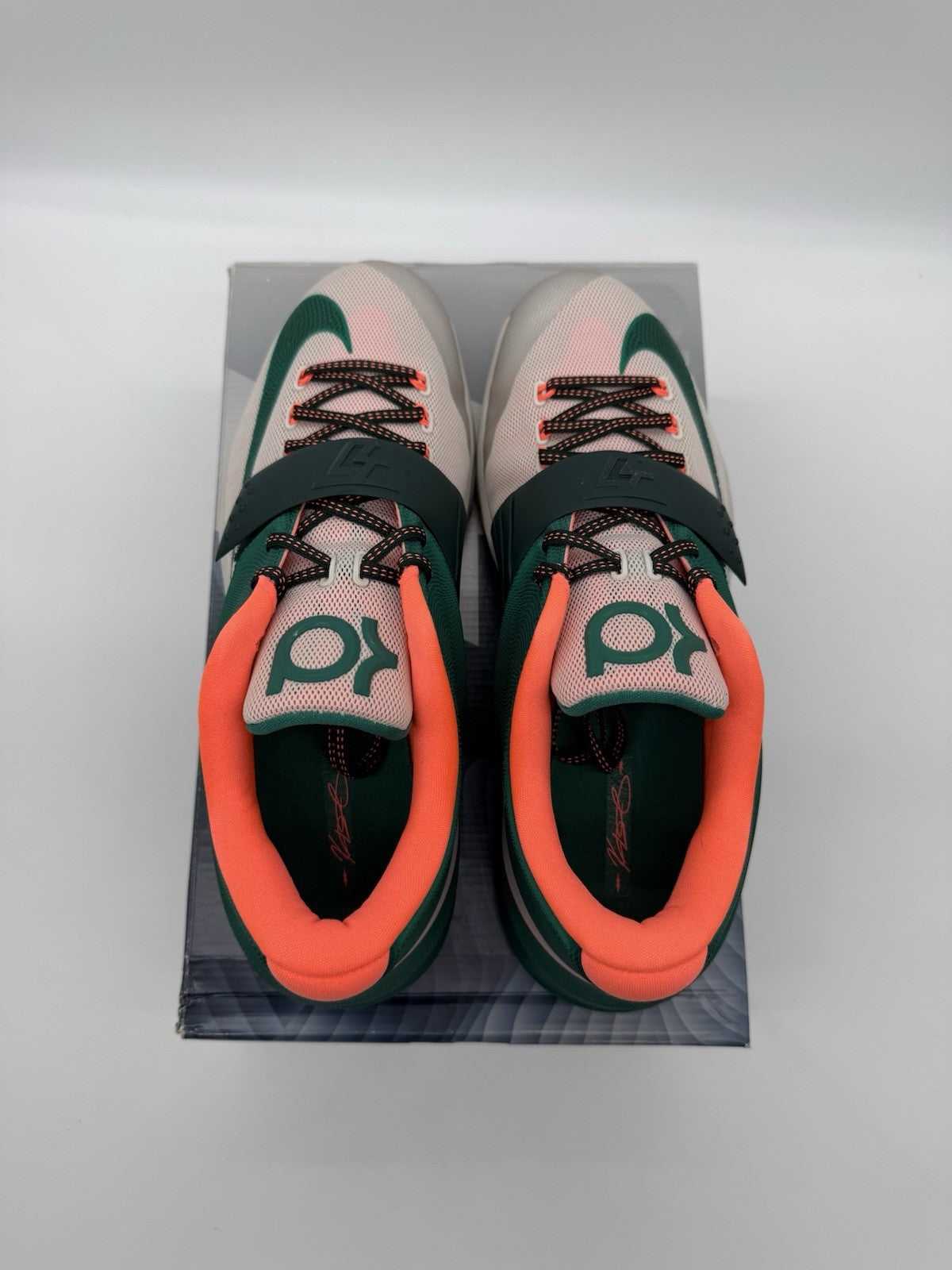 Size 12 - Nike KD 7 Easy Money (Brand New)