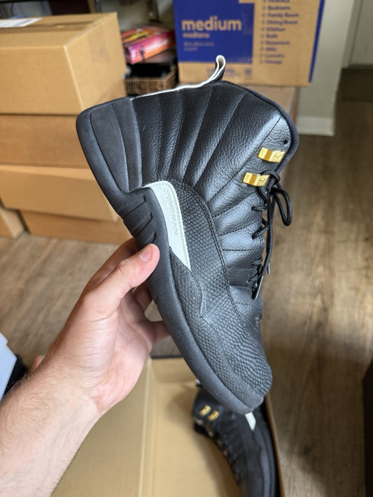 Size 10 - Jordan 12 Retro The Master